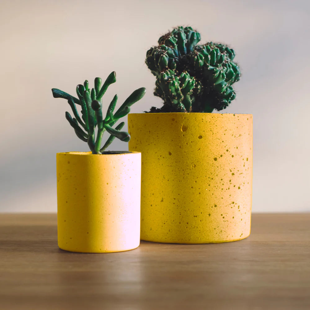 ZINC YELLOW N313